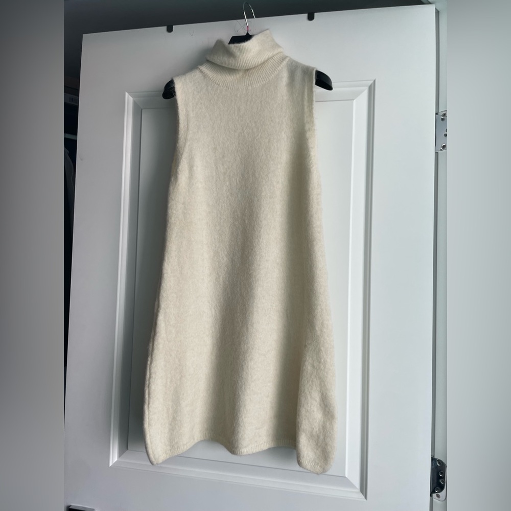 Zara Fuzzy Turtleneck Dress